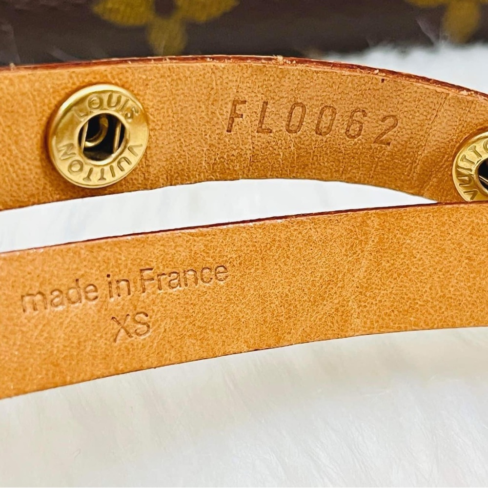 Louis Vuitton Florentine Belt Bag - Picture 12 of 12